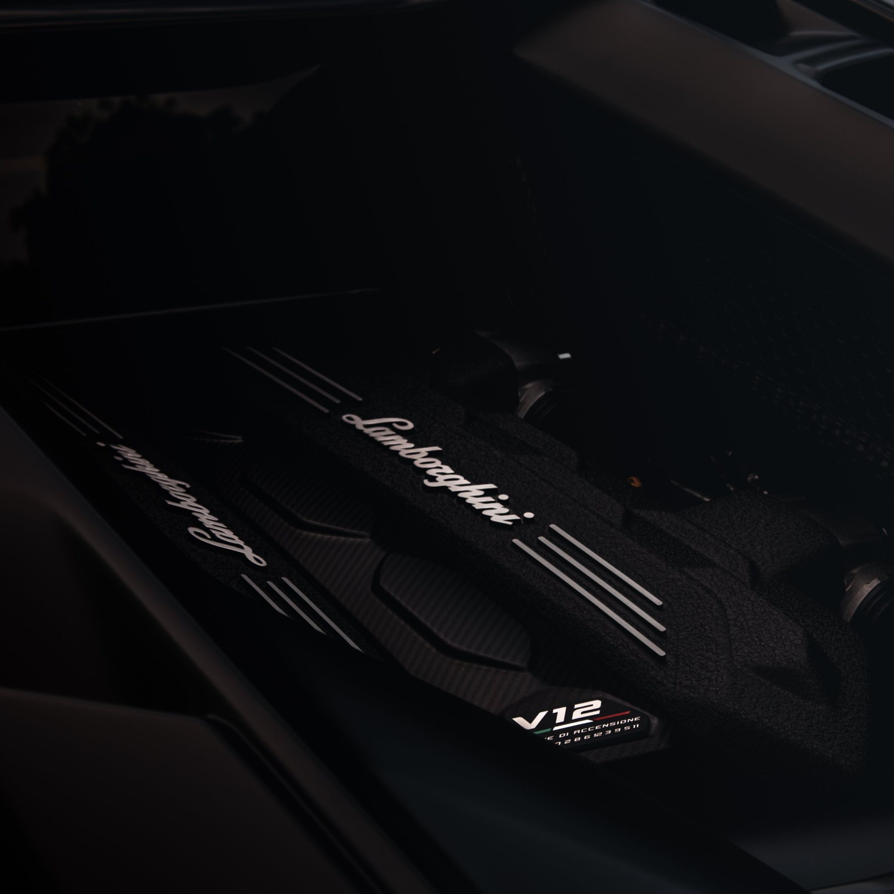 V12 engine bay